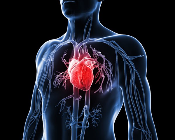boala sistemului cardiovascular și articulațiilor)