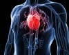 Bolile cardiovasculare, cauze si factori de risc