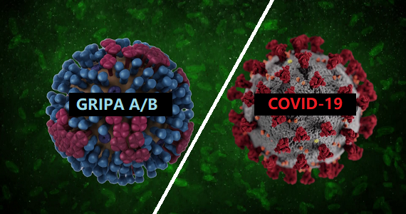 GRIPA VS COVID