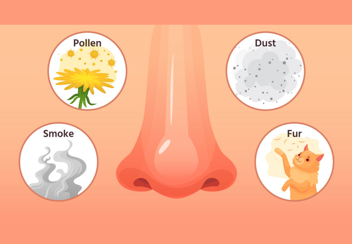 Аллерген рисунок. Аллергия рисунок для детей. Аллергены картинки. Пыль пыльца
