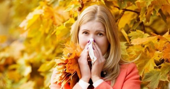 alergiile de toamna