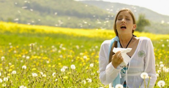 alergii respiratorii